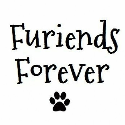 Furiends Forever, Inc. - Pet Shelter and Rescue in Burbank, California