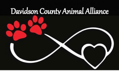 Davidson County Animal Alliance - Pet Shelter and Rescue in Thomasville, North Carolina