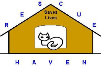 RSL Haven - Pet Shelter and Rescue in Malabar, Florida