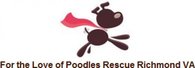 For The Love Of Poodles Rescue Richmond VA - Pet Shelter and Rescue in Richmond, Virginia