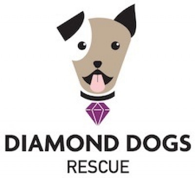 Diamond Dogs Rescue - Pet Shelter and Rescue in Madison, Wisconsin