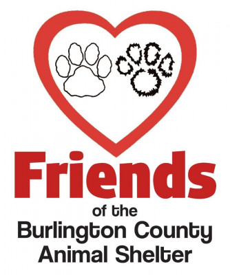 Friends Of Burlington County Animal Shelter - Pet Shelter and Rescue in Mount Laurel Township, New Jersey