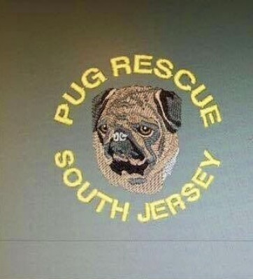 Pug Rescue Adoption Assistance Of South Jersey - Pet Shelter and Rescue in Winslow Township, New Jersey