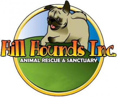 Celebrating Pugs & Pups With Hill Hounds Rescue And Animal Sanctuary Inc. - Pet Shelter and Rescue in Denton, Maryland