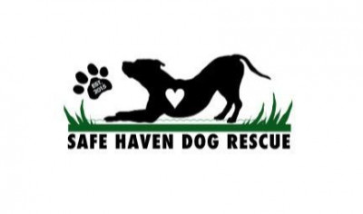 Safe Haven Dog Rescue - Pet Shelter and Rescue in Elburn, Illinois