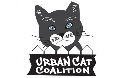 Urban Cat Coalition - Pet Shelter and Rescue in New Berlin, Wisconsin