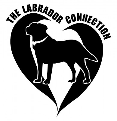 The Labrador Connection - Pet Shelter and Rescue in Woodstock, Illinois