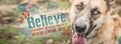 Compassion Without Borders - Pet Shelter and Rescue in Santa Rosa, California