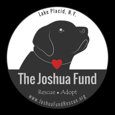 The Joshua Fund Dog Rescue - Pet Shelter and Rescue in Jay, New York