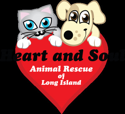 Heart And Soul Animal Rescue Of Long Island - Pet Shelter and Rescue in Mastic, New York
