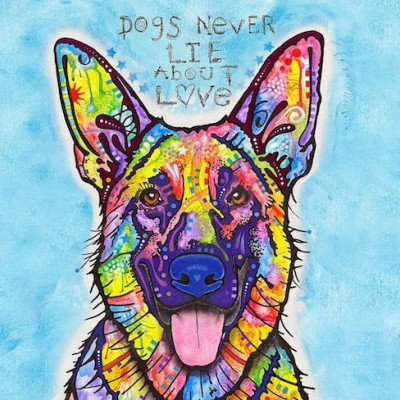 Effingham County Animal Shelter - Pet Shelter and Rescue in Springfield, Georgia