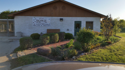 Friends Of The Bowie Animal Shelter - Pet Shelter and Rescue in Bowie, Texas