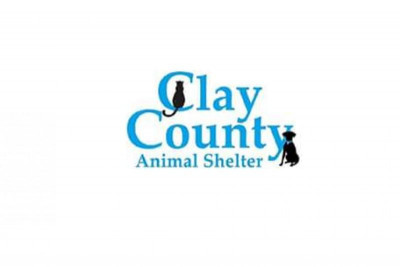 Clay County Animal Shelter - Pet Shelter and Rescue in Delta, Alabama