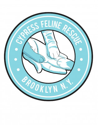 Cypress Feline Rescue - Pet Shelter and Rescue in New York, New York