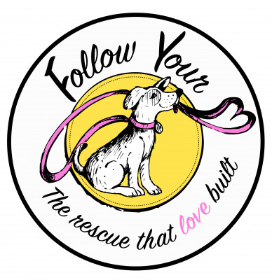 Follow Your Heart Animal Rescue - Pet Shelter and Rescue in Mesa, Arizona
