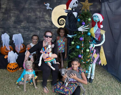 Paws Angels Dog Rescue - Pet Shelter and Rescue in Nashville, Tennessee