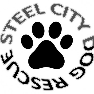 Steel City Dog Kennel And Rescue - Pet Shelter and Rescue in Darlington, Pennsylvania
