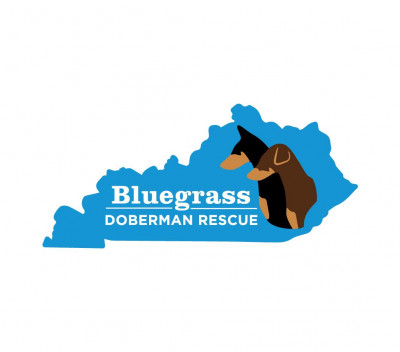 Bluegrass Doberman Rescue - Pet Shelter and Rescue in Louisville, Kentucky
