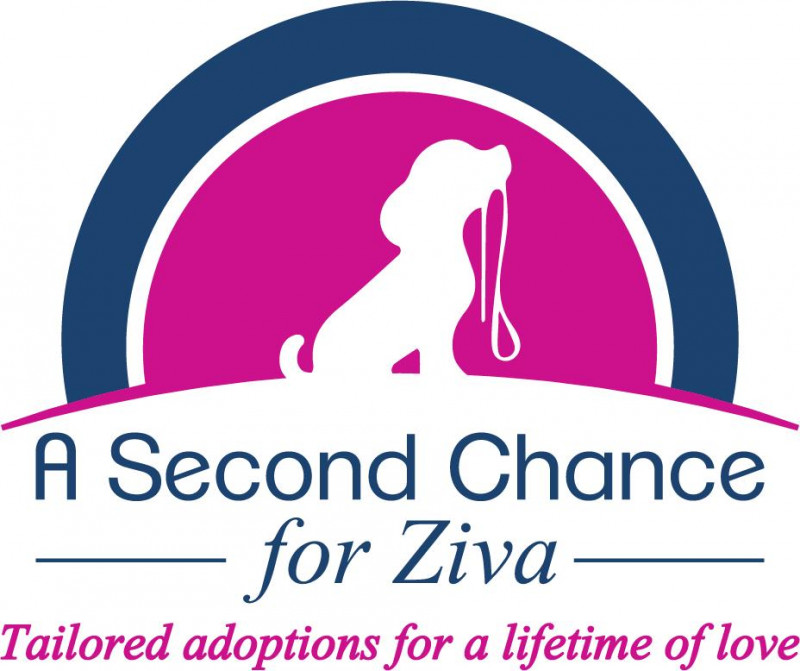 Ziva Dog Rescue - Pet Shelter and Rescue in Chatham, New Jersey ...