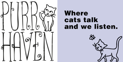 PurrHaven Inc. - Pet Shelter and Rescue in Rohrersville, Maryland