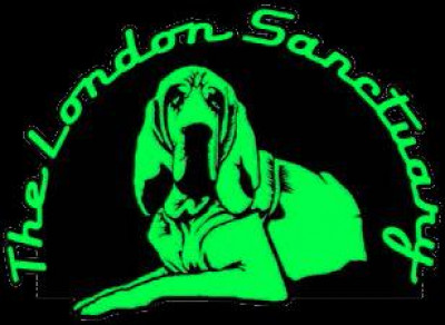 The London Sanctuary - Pet Shelter and Rescue in Glen Saint Mary, Florida