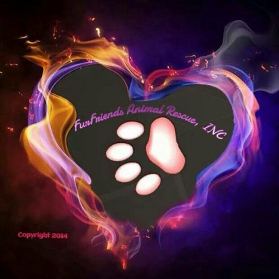 FurFriends Animal Rescue, Inc. - Pet Shelter and Rescue in St. Helens, Oregon