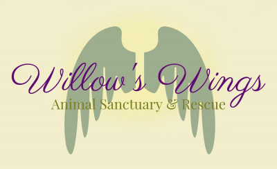 Willow