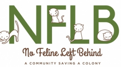 No Feline Left Behind - Pet Shelter and Rescue in Denver, Colorado