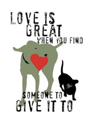 Hearts4Doxies Rescue - Pet Shelter and Rescue in Renton, Washington