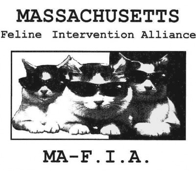 Massachusetts Feline Intervention Alliance - Pet Shelter and Rescue in Attleboro, Massachusetts