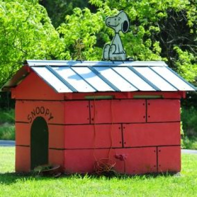 Murray County Humane Society - Pet Shelter and Rescue in Chatsworth, Georgia