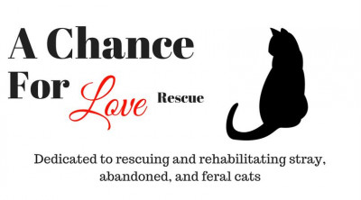 A Chance For Love Rescue - Pet Shelter and Rescue in North Haven, Connecticut