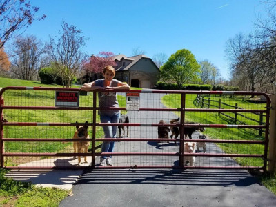 Gray Face Acres - Pet Shelter and Rescue in Haymarket, Virginia