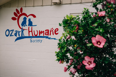 Ozark Humane Society - Pet Shelter and Rescue in Harrison, Arkansas