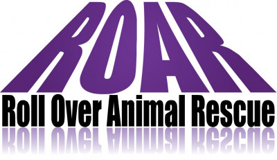 Roll Over Animal Rescue, Inc (ROAR) - Pet Shelter and Rescue in Rosemont, Illinois