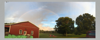 Atlantic County Canines - Pet Shelter and Rescue in Egg Harbor City, New Jersey