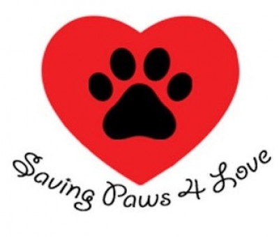 Saving Paws 4 Love - Pet Shelter and Rescue in West Miami, Florida