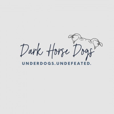 Dark Horse Dogs, NFP - Pet Shelter and Rescue in Chicago, Illinois
