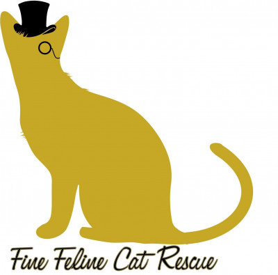 Fine Feline Cat Rescue - Pet Shelter and Rescue in Uxbridge, Massachusetts