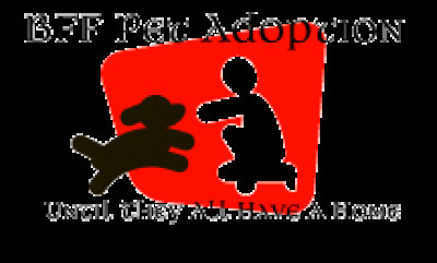 BFF Pet Adoption - Pet Shelter and Rescue in Silsbee, Texas