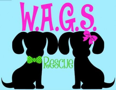 WAGS Rescue - Pet Shelter and Rescue in Jesup, Georgia