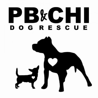 PB  Chi Dog Rescue Society - Pet Shelter and Rescue in Surrey, British Columbia