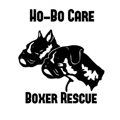 HO-BO Care Boxer Rescue - Pet Shelter and Rescue in Denver, Colorado
