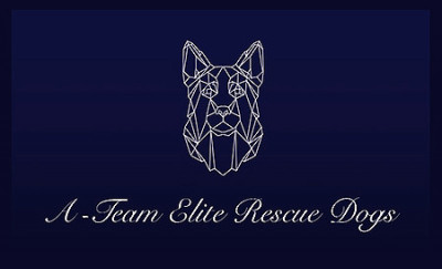 A-Team ELITE Rescue Dogs - Pet Shelter and Rescue in Westbury, New York