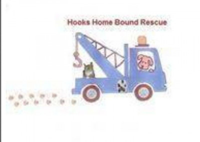 Hooks Home Bound Rescue - Pet Shelter and Rescue in Joshua Tree, California