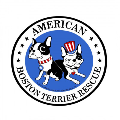American Boston Terrier Rescue - Pet Shelter and Rescue in Gainesville, Texas