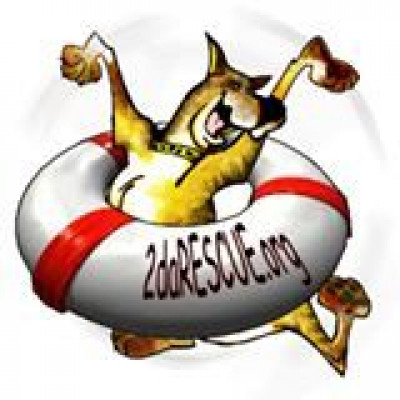 2DARESCUE - Pet Shelter and Rescue in Phoenix, Arizona