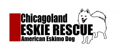 Chicagoland Eskie Rescue - Pet Shelter and Rescue in Elmhurst, Illinois