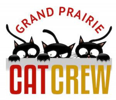 Grand Prairie Cat Crew - Pet Shelter and Rescue in Grand Prairie, Texas