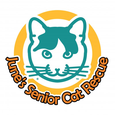 Junes Senior Cat Rescue - Pet Shelter and Rescue in Albuquerque, New Mexico